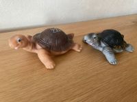 Schildkröten von Schildkröt - Sammler Puppen Westerwaldkreis - Oberahr Vorschau