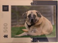 Puzzle 500 Teile, Kangal-Hund Berlin - Charlottenburg Vorschau