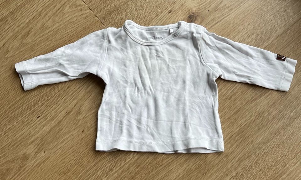 6 Langarmshirts Baby 68 H&M Topomini EatAnts Staccato in Neuenhagen