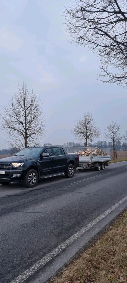 !!!Angebot!!!Brennholz Kiefer Kaminholz  Lieferung in Golßen