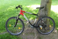 Mountainbike Wilier 18 carati Niedersachsen - Salzgitter Vorschau