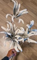 Kunstblumen grau-weiß 5 Blüten NEU Güstrow - Landkreis - Güstrow Vorschau