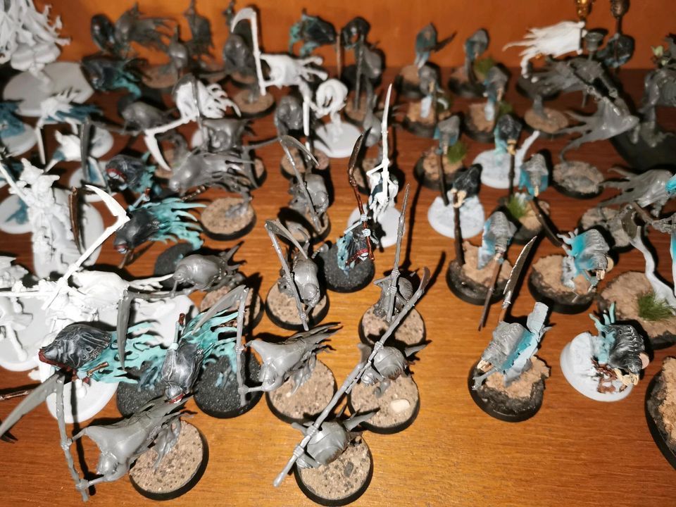 Große Nighthaunt Armee AoS Warhammer in Otterndorf