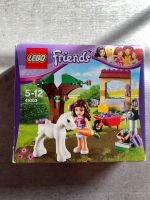 Lego Friends Ponyhof Rheinland-Pfalz - Billigheim-Ingenheim Vorschau