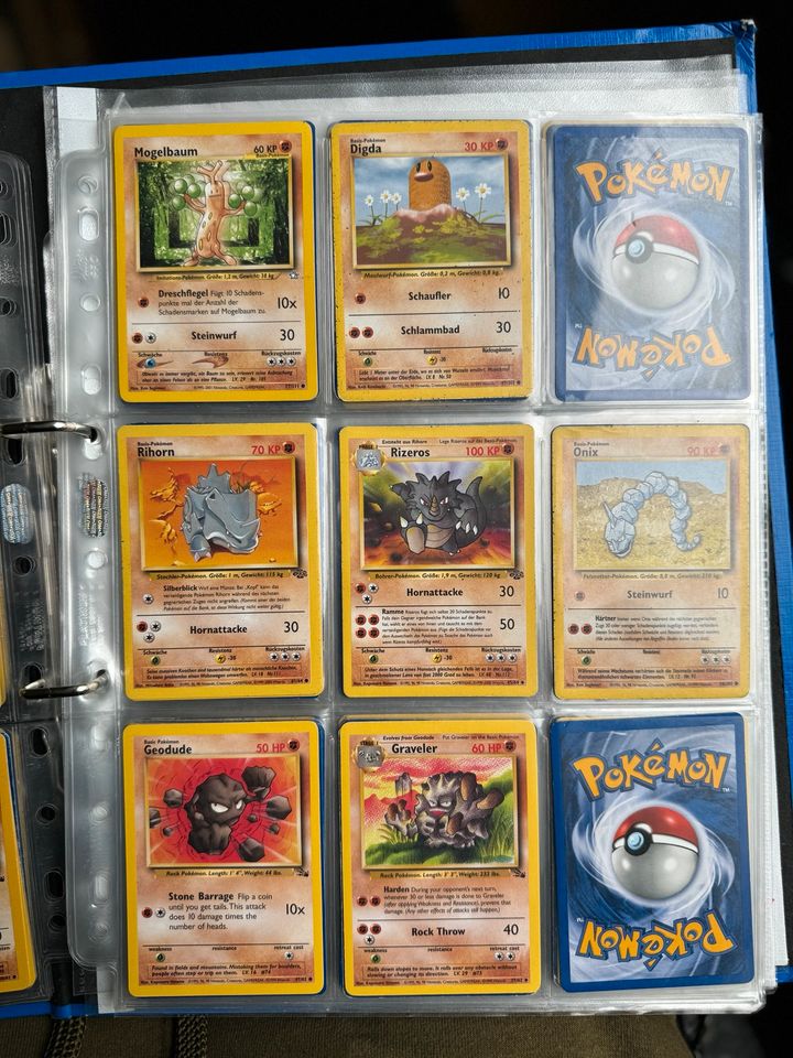 Pokémon Karten, Konvolut, Sammelkarten in Zeitlarn