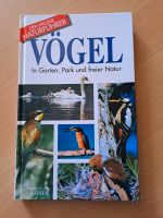 Vögel in Garten,  Park und freier Natur Bayern - Röhrnbach Vorschau