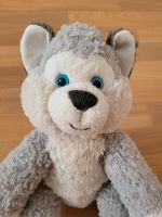 Build a Bear Husky Sachsen-Anhalt - Weißenfels Vorschau