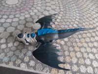 Playmobil Dragons Drache Drago Baden-Württemberg - Rastatt Vorschau