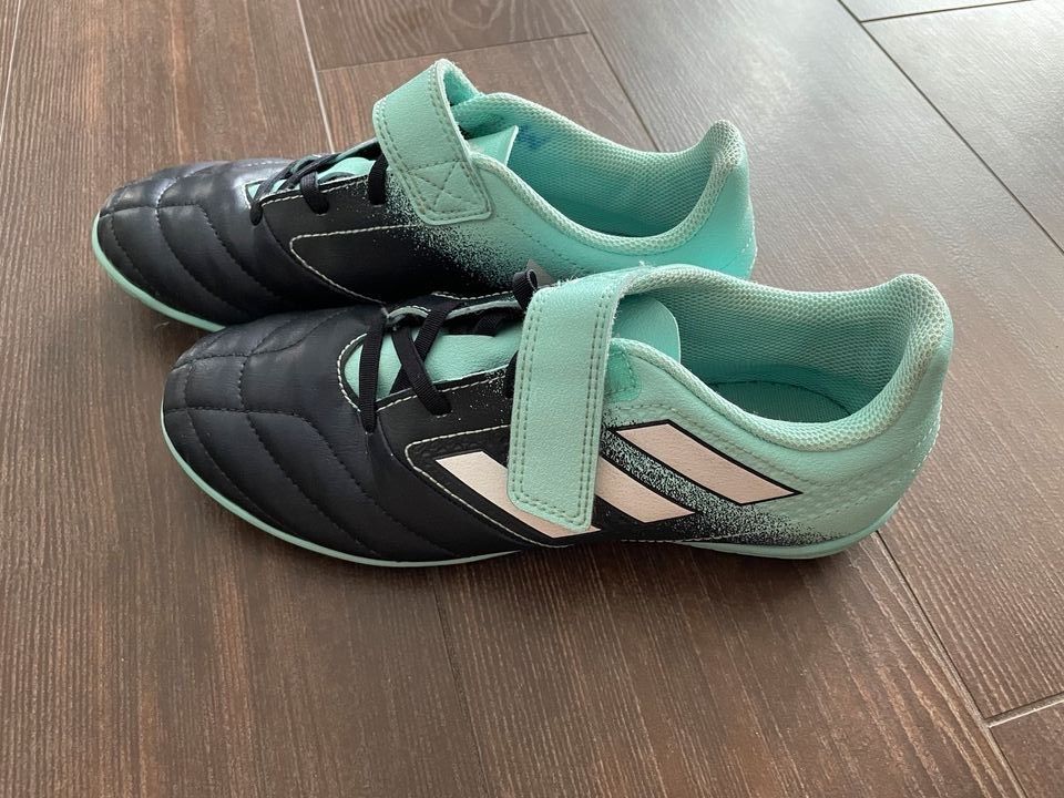 Adidas Hallenschuhe Türkis dunkelblau in Friedberg