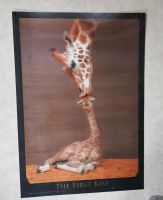 3D Bild Giraffe Baden-Württemberg - Mössingen Vorschau