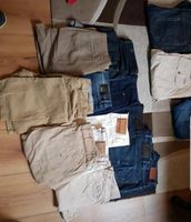 Markenhosen Boss Hilfiger Diesel 31 und 32 Niedersachsen - Blomberg Vorschau