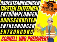 Abriss•Entkernung•Tapetenablösen•Asbestsanierung•Entrümpelung Niedersachsen - Elbe Vorschau