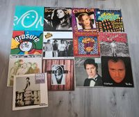 Schallplatten LPs Jacksons,Collins Nordrhein-Westfalen - Horn-Bad Meinberg Vorschau