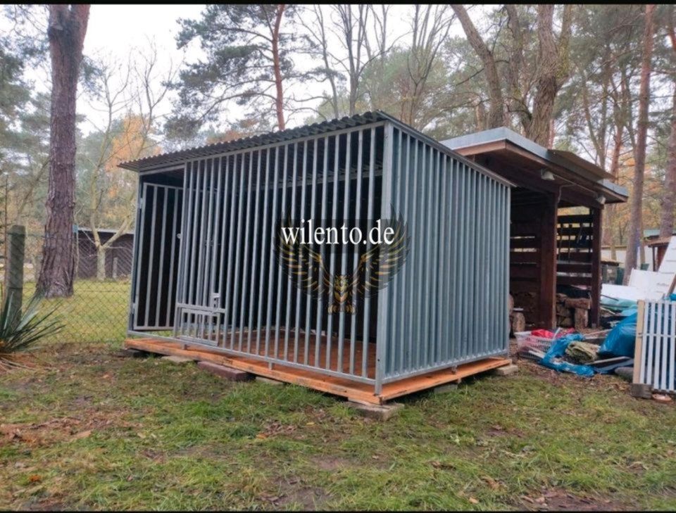 Hundezwinger Zwinger Verzinkt Geschweißt Versand Montage in Löcknitz