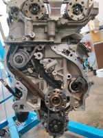 BMW 3 Zylinder B38 Steuerkette Reparatur 116i 118i 318i 418i Hessen - Allendorf Vorschau