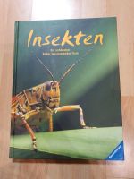 Insekten: Die schönsten Bilder faszinierender Tiere Buch Baden-Württemberg - Freiburg im Breisgau Vorschau
