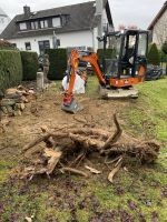 Baggerarbeiten Minibagger Haus und Garten Hessen - Wehrheim Vorschau