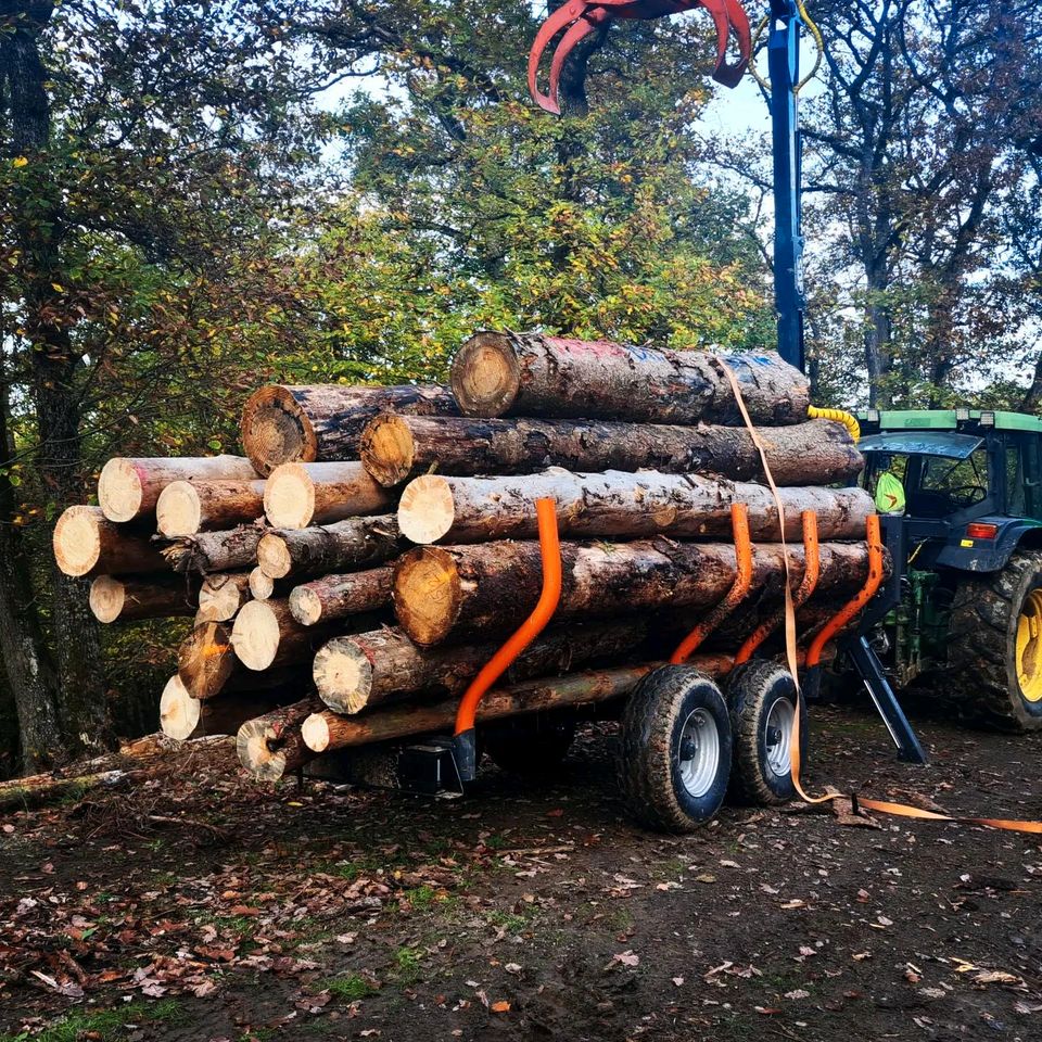 Holzeinschlag brennholz kegelspalter forstdienstleistungen in Bermel