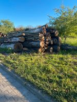 Eichenstämme  Holz Sachsen - Bad Lausick Vorschau