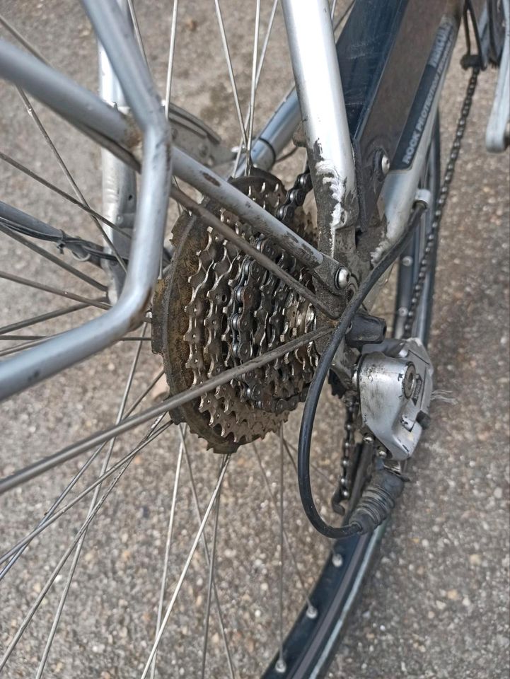 Damenfahrrad von Hercules in Rennertshofen