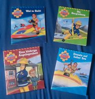 4 Feuerwehrmann Sam Pixi-Bücher lesen vorlesen + Metallbox Sachsen - Hainichen Vorschau