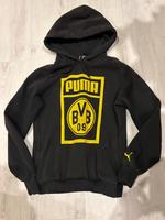 BVB Hoodie XS Hansestadt Demmin - Demmin Vorschau