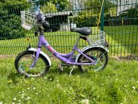 Puky Fahrrad lila 16 Zoll Nordrhein-Westfalen - Gelsenkirchen Vorschau
