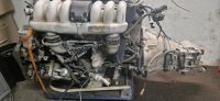 W124 202 129 140 etc Motor M104 5G Schaltgetriebe 717441 wenig KM Baden-Württemberg - Ostfildern Vorschau