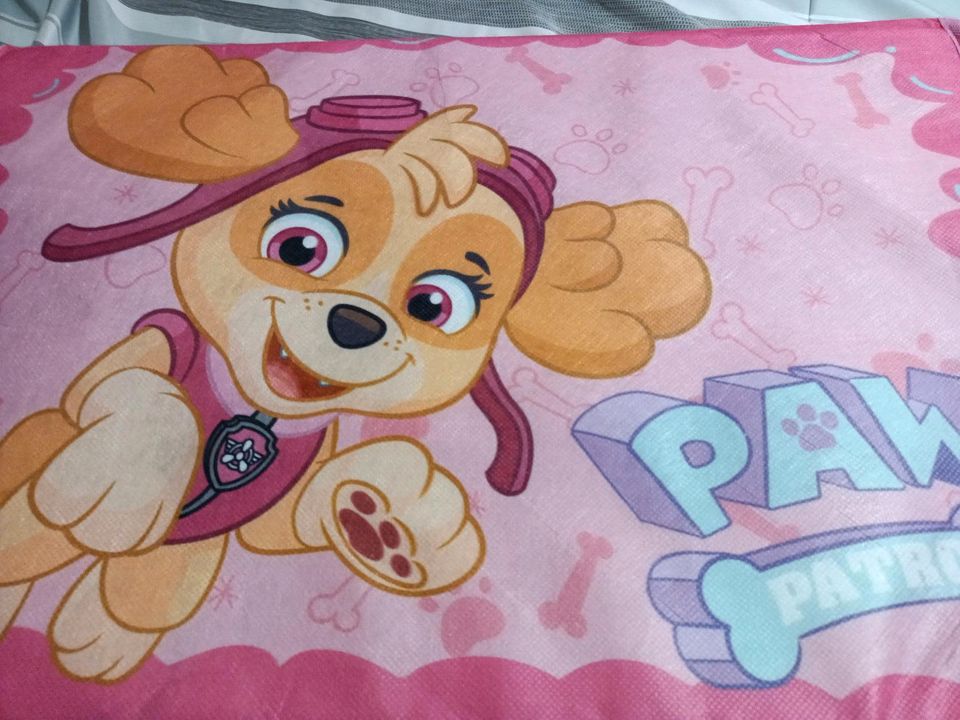 Kinderkiste Paw Patrol in Dresden