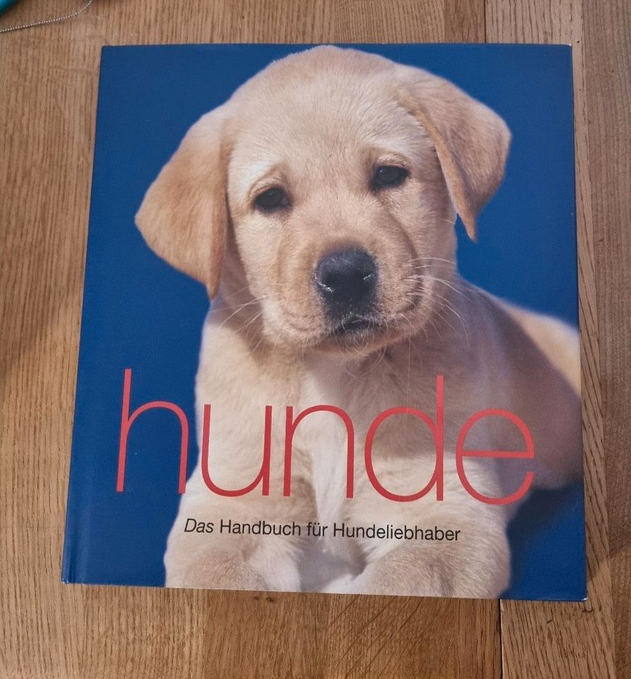 Handbuch für Hunde Liebhaber Tip Top in Waldburg