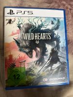 Wild Hearts PS5 Bayern - Winzer Vorschau