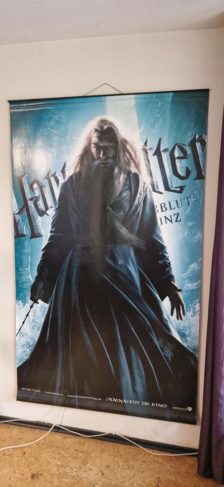 Harry Potter Kinoplakat - Plakat - Poster - 2 Meter in Marl