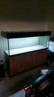 Aquarium Beleuchtung 150cm 3x Sachsen - Annaberg-Buchholz Vorschau