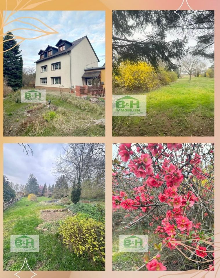 Preis auf Anfrage Ein-/Zweifamilienhaus freistehend bei Wolfen mit großem Garten ca. 2600 qm in Raguhn