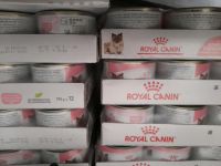 Royal Canin Mother Babycat Mousse Paste Dose Niedersachsen - Weyhe Vorschau