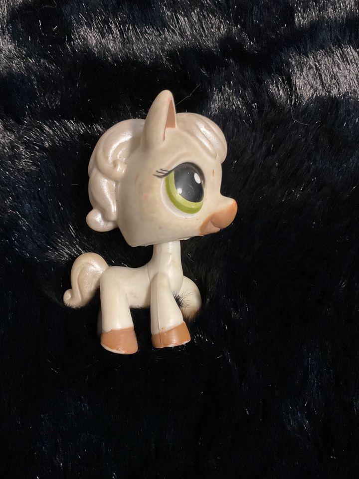 LPS Littlest PET Shop Horse green eyes Pferd Pony in Hilden