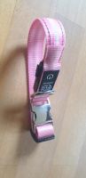 Hundehalsband Neu Halsband Pink S Hunde Hamburg-Nord - Hamburg Alsterdorf  Vorschau