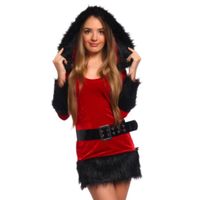 Schönes sexy  Weihnachtskostüm Minikleid rot /schwarz OVP NEU Rostock - Gross Klein Vorschau