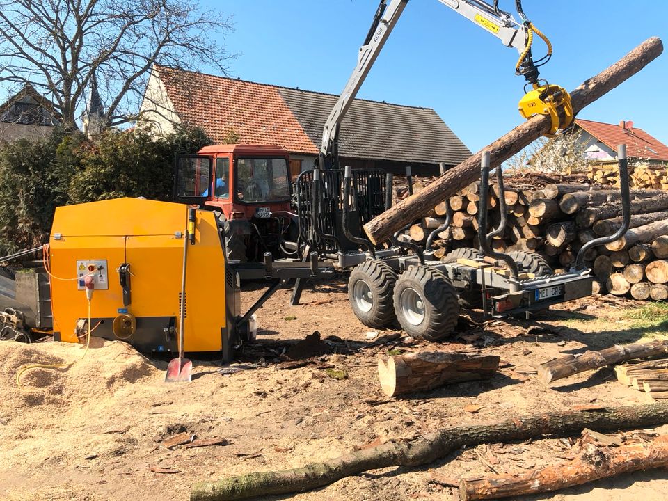 Feuerholz Brennholz Kaminholz Kiefer 50er Fix&Fertig gespalten in Radeburg