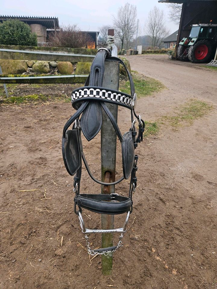 FahrKopfstück in Idstedt