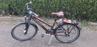 Fahrrad 26 " Neu mit Markenzubehör Nordrhein-Westfalen - Pulheim Vorschau