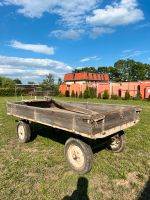 Gummiwagen Sachsen - Torgau Vorschau