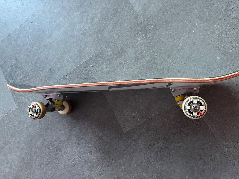 Skateboard 74cm lang und 18cm breit Jugend in Groß-Gerau