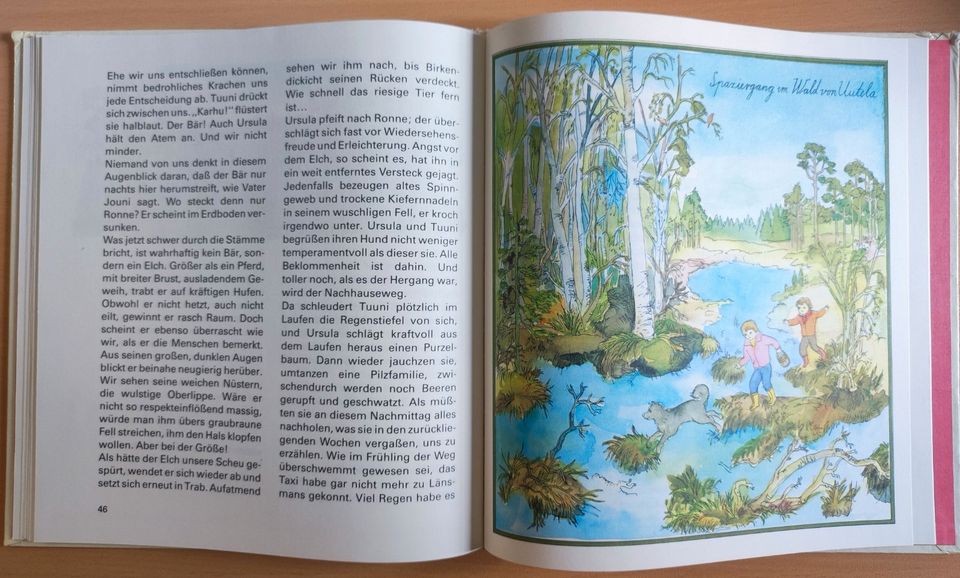 Rentiergeheimnisse DDR Kinderbuch von in Burg