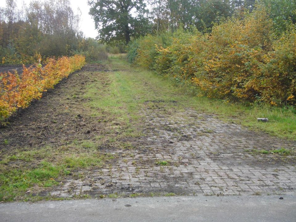 Grundstück mit Teich u. Straße in Augustfehn III in Apen