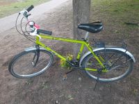 Verkaufe  grüne Fahrrad für Alltag Hessen - Hanau Vorschau
