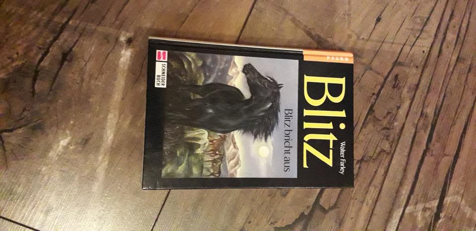 Verschiedene Bücher (Romane, Bestseller, Thriller, Jugendbücher) in Bremen