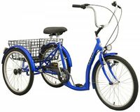 Shoppingrad BBF "Meersburg" 3-Gang 24", RH 42 cm Essen - Essen-Borbeck Vorschau