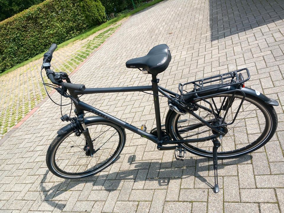 Raleigh Fahrrad in Lindern (Oldenburg)