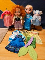 Disney Animator Elsa und Anna und viele  Kleider Sachsen - Glashütte Vorschau